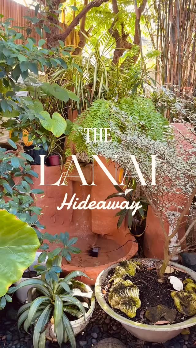 Lush garden with water feature