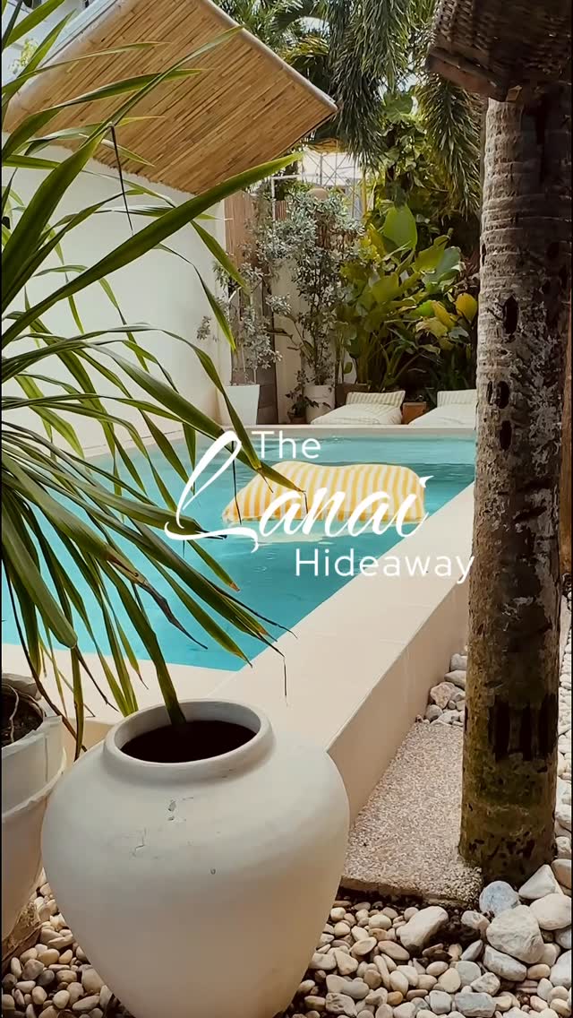 Garden and pool